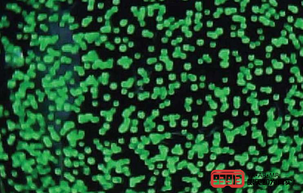 苏黎世联邦理工学院研究：可用于VR场景的新型触觉传感器