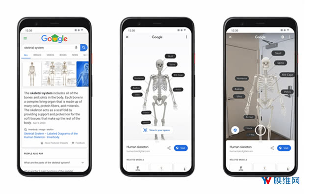 谷歌搜索带来更丰富专业的AR学习探索体验