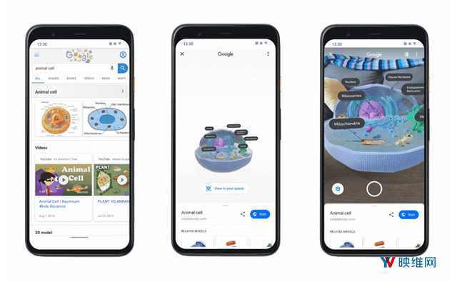 谷歌搜索带来更丰富专业的AR学习探索体验