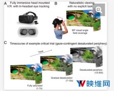 研究员用VR技术探索人眼对色彩的感知程度